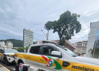 PMRv apreende mais de 280 quilos de maconha no Oeste de SC