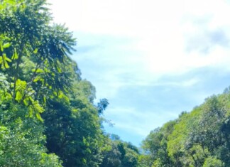 Acidentes de trânsito mobilizam bombeiros e SAMU em rodovias do Oeste de SC no dia de Natal