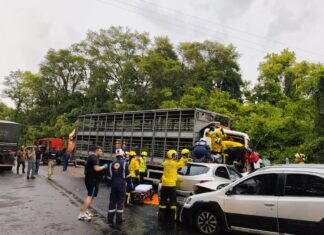 VÍDEOS: Grave acidente na BR-282 envolve caminhão de suínos, carreta da Coca-Cola e dois carros