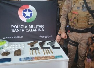 Adolescente de 13 anos é apreendido por tráfico de drogas e posse irregular de armas em Chapecó
