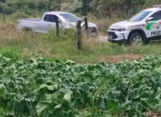 Corpo é encontrado com sinais de violência em plantação de morangas