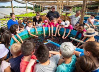 Prefeitura convoca mais de 300 profissionais da Educação para a rede municipal de Chapecó