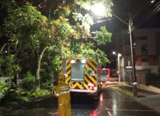 VÍDEO: Tempestade causa quedas de árvores e mobiliza bombeiros em diversos municípios do Oeste de SC