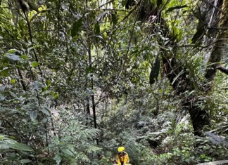 Corpo de criança desaparecida é localizado em rio após 12 dias de buscas no Oeste de SC
