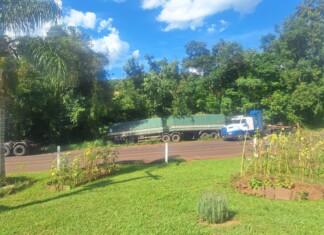 Bitrem sai da pista e colide contra árvores na SC-283