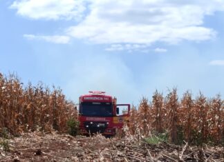 Fogo se espalha em lavoura após incêndio em colheitadeira no Oeste de SC