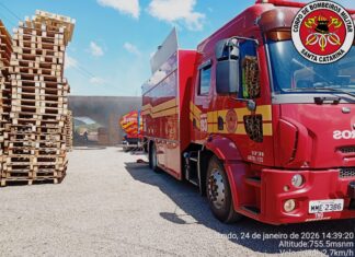 Incêndio atinge fábrica de paletes e mobiliza bombeiros no Oeste de SC