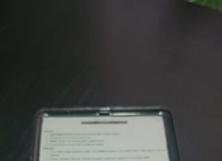 Polícia Civil prende dois jovens por tráfico e apreende cocaína no Oeste de SC