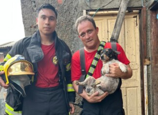 Incêndio atinge residência em SC; bombeiros resgatam cachorro