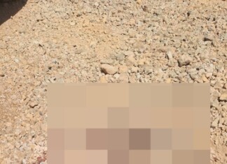 Cão é morto a tiros em SC e Polícia Militar atende ocorrência de maus-tratos