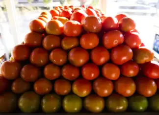 Mulher que escorregou em tomate dentro de mercado receberá danos morais e materiais em SC