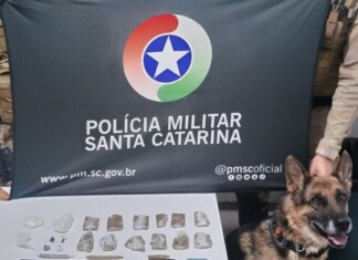 Mulher com tornozeleira eletrônica é presa por tráfico de drogas em Chapecó