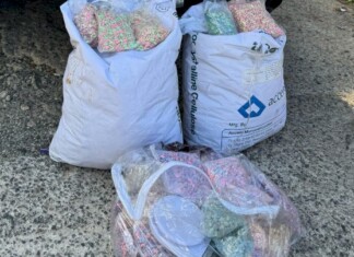 VÍDEO: Homem é preso com 120 mil comprimidos de ecstasy em Santa Catarina