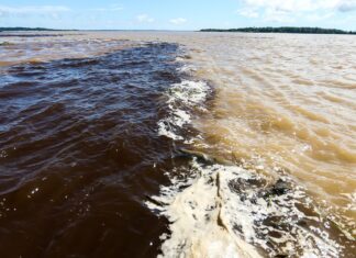 Naufrágio deixa dois mortos e sete pessoas desaparecidas