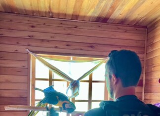 VÍDEO: Operação contra tráfico de animais resgata espécies silvestres em Santa Catarina