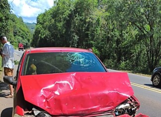 Engavetamento na BR-282 deixa mulher ferida