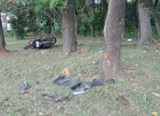 Mulher fica gravemente ferida após moto sair da pista e colidir contra árvore