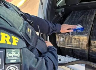 PRF intercepta quase 300 kg de maconha na BR-101 em Santa Catarina