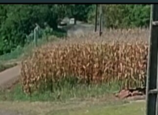 VÍDEO: Imagem flagra colisão que matou motociclista em rodovia do Oeste de SC