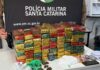Polícia divulga novos detalhes da grande apreensão de drogas em Chapecó