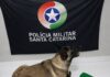 Cães farejadores encontram quase 1 kg de maconha em área de mata no Oeste de SC