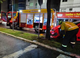 Carro bate em árvore e condutor foge do local no Centro de Chapecó