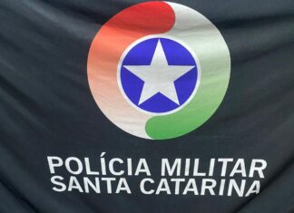 Violência doméstica termina com prisão e apreensão de arma de fogo no Oeste de SC