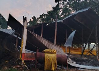 Fogo provoca colapso parcial de teto em aviário de 1.200 m² no Oeste de SC