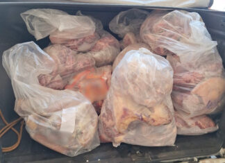 Vigilância Sanitária apreende 680 kg de alimentos impróprios em estabelecimento no Oeste de SC