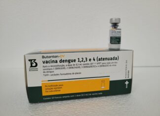 Santa Catarina inicia distribuição de vacinas contra a dengue a profissionais de saúde