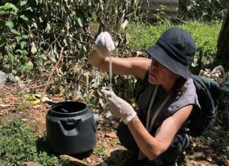 Chapecó registra queda no índice do Aedes e reforça ações de combate