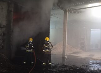Incêndio atinge estufa de madeira em empresa na área industrial de município catarinense