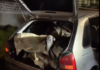 VÍDEO: Sete animais morrem após serem transportados em condições cruéis dentro de veículo