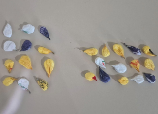 Polícia Civil prende jovem suspeito de tráfico e apreende cocaína no Oeste