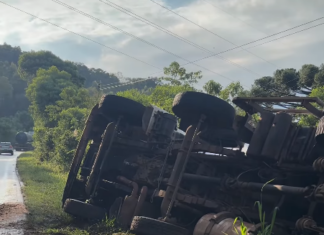 VÍDEO: Caminhão carregado com ração tomba às margens da SC-155 no Oeste de SC