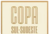 Futebol brasileiro ganha nova competição em 2026: tudo sobre a Copa Sul-Sudeste