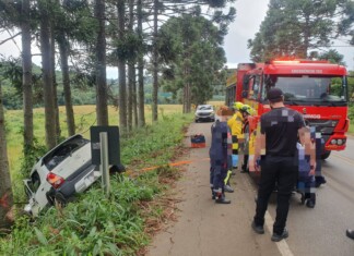 Homem de 33 anos fica ferido em saída de pista seguida de colisão com árvores