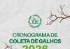 Prefeitura de Chapecó divulga cronograma de coleta de galhos nos bairros