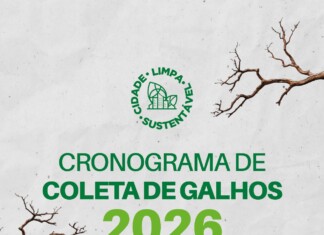 Prefeitura de Chapecó divulga cronograma de coleta de galhos nos bairros