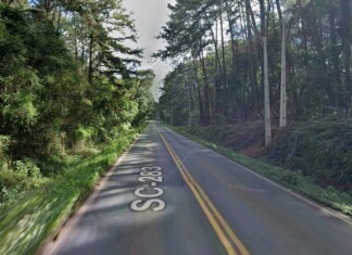 Rodovia que dá acesso a Chapecó será interditada para remoção de árvores com risco de queda