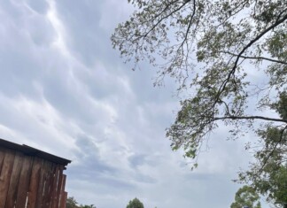 Queda de galpão prende animais e árvores bloqueiam estrada em município do Oeste de SC