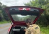 VÍDEO: PRF apreende mais de 100 kg de maconha em carro e prende motorista no Oeste de SC