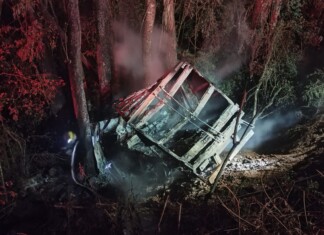 Caminhonete sai da pista, desce ribanceira e pega fogo no Oeste de SC