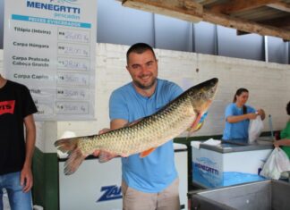 Semana Santa: Chapecó amplia feira do peixe para 12 pontos da cidade