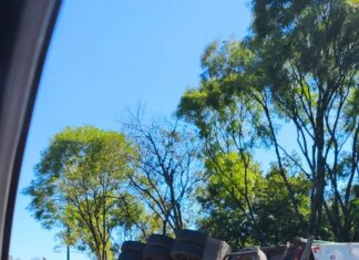 Caminhão se envolve em acidente e provoca alteração no trânsito no Oeste Catarinense