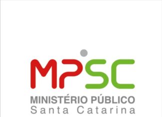 Responsável por ataque a creche em SC agora é condenado por esfaquear cachorro como forma de vingança