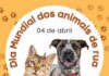 Dia Mundial dos Animais de Rua reforça alerta sobre abandono e incentiva ações