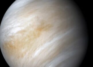 Por quê o planeta Vênus gira ao contrário? Cientista brasileiro explica de forma inédita