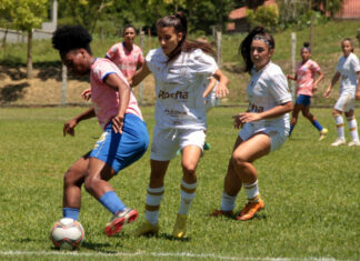 Alesc recebe projetos sobre segurança pública, saúde e proteção animal