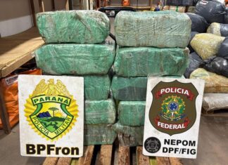 PF e PM apreendem mais de 161 quilos de maconha em operação